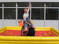 Rodeo bizon