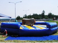 Rodeo byk