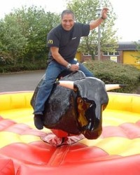 Rodeo bizon